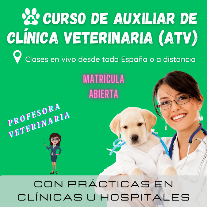 CURSO DE ATV – AUXILIAR DE CLÍNICA VETERINARIA